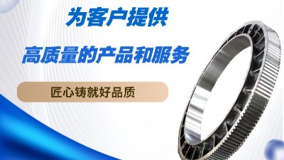 專注18年 3000余套大齒圈 贏多家大型企業(yè)信賴